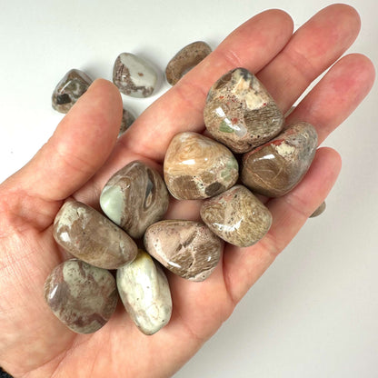 Konglomerat lommesten