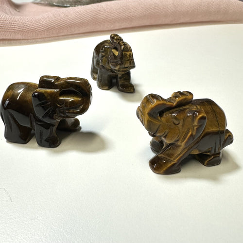 Tigerøje elefant
