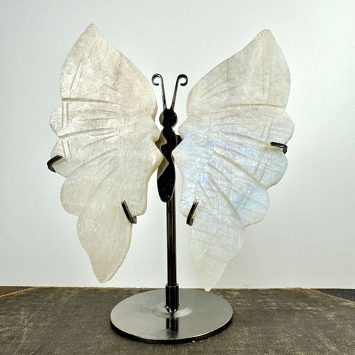 Regnbue Månesten sommerfugl