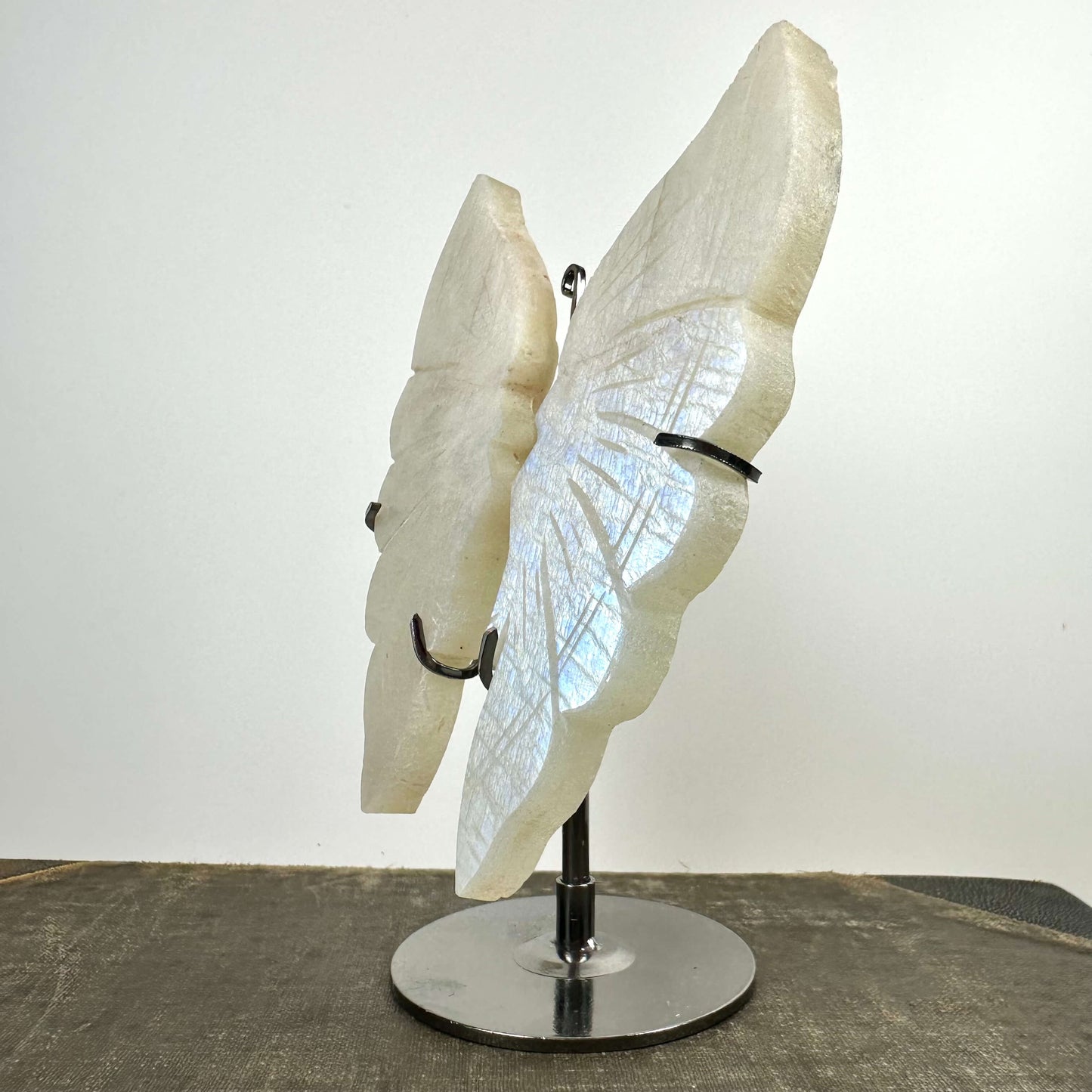 Regnbue Månesten sommerfugl