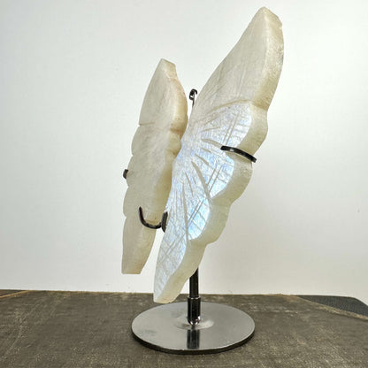 Regnbue Månesten sommerfugl