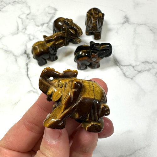 Tigerøje elefant