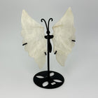 Månesten sommerfugl