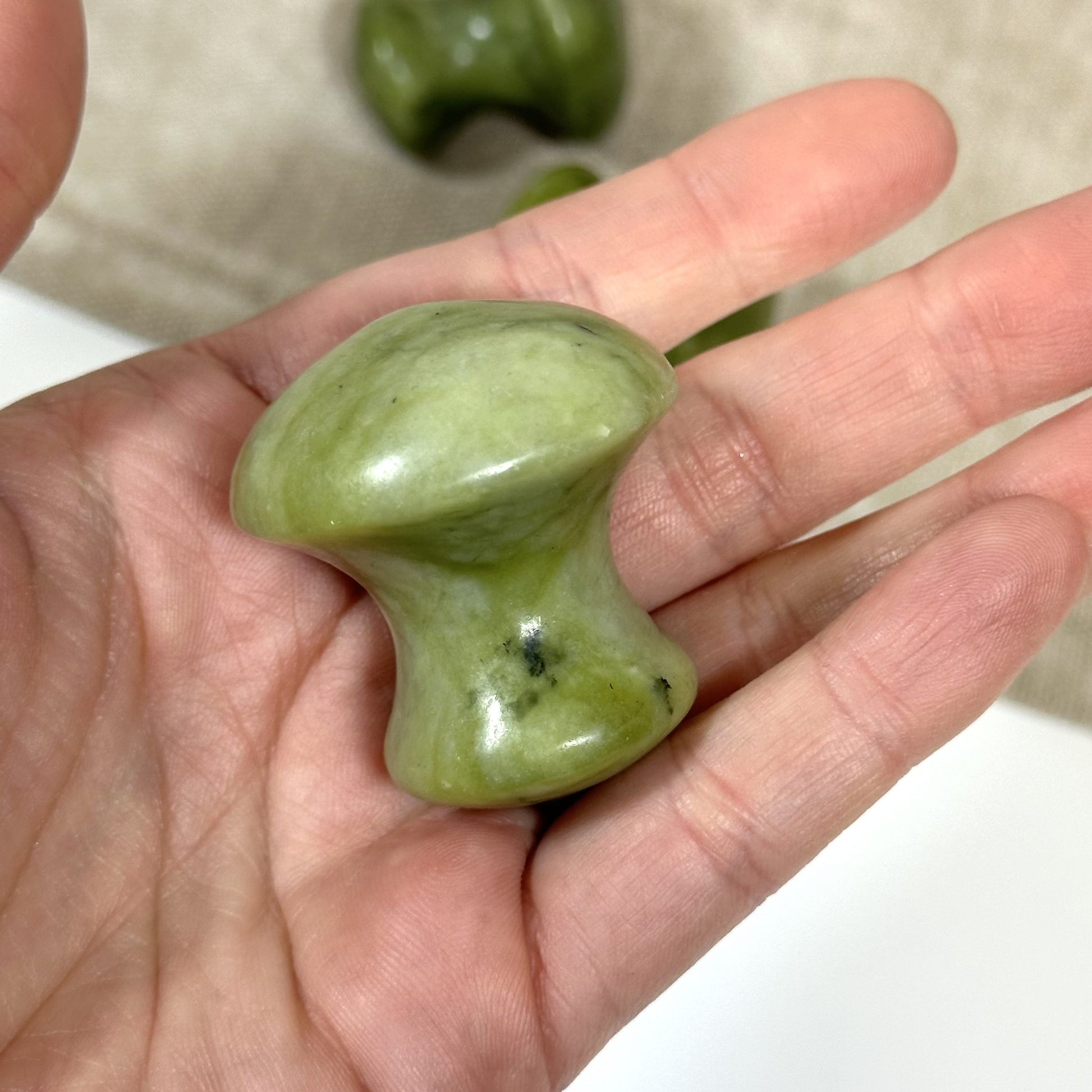 Grøn Jade mushroom