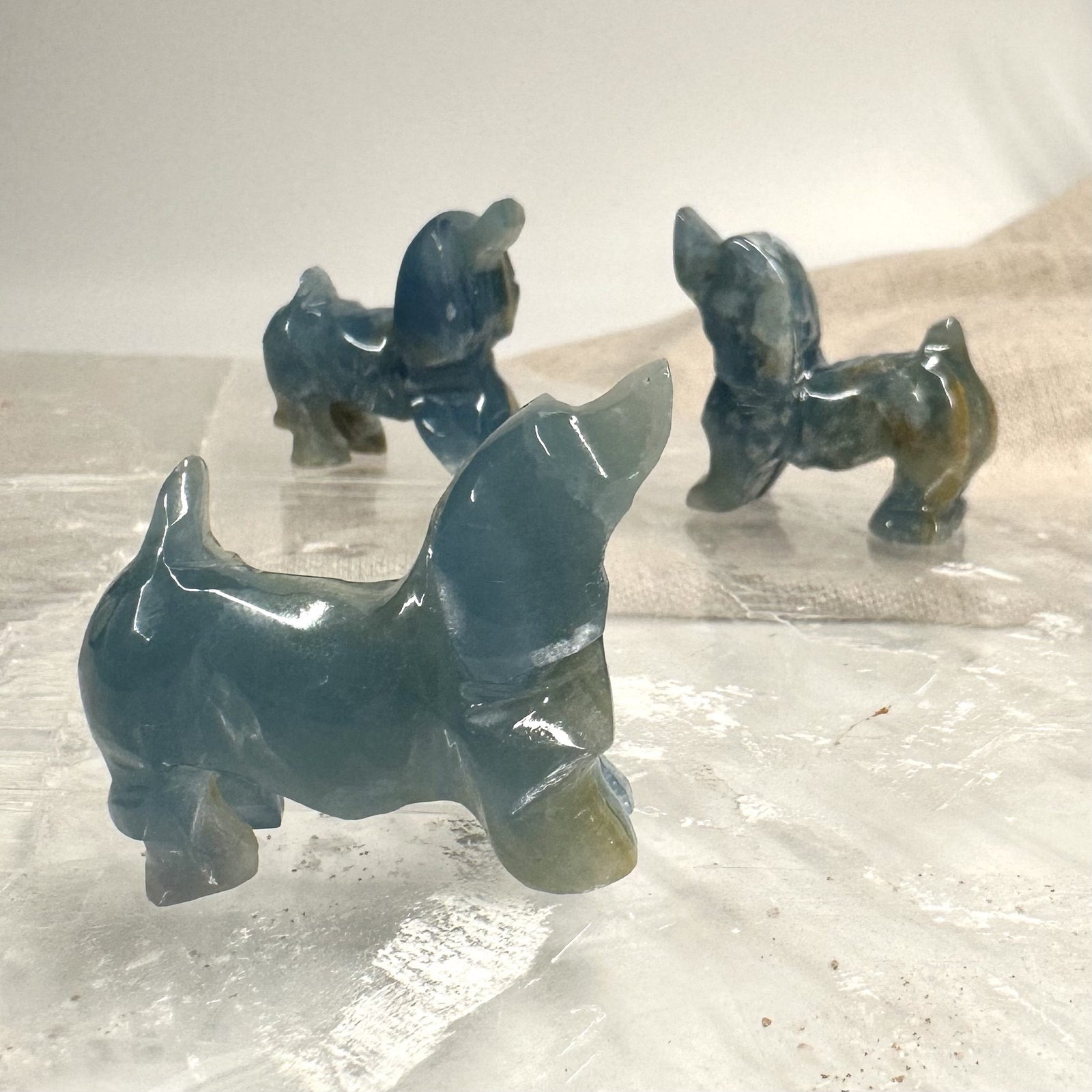 Blå onyx hund | eksklusiv kvalitet