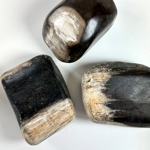 Forstenet træ jumbo