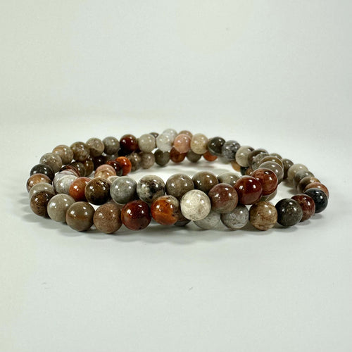 Fosile koraller armbånd 6mm