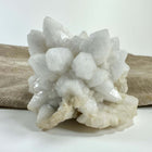 Blomster kvarts klynge