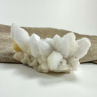 Blomster kvarts klynge