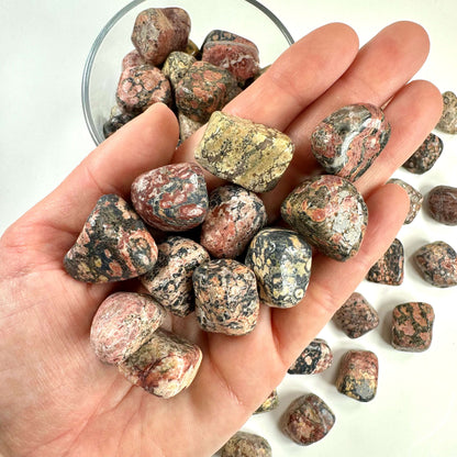 Jaspis leopard lommesten