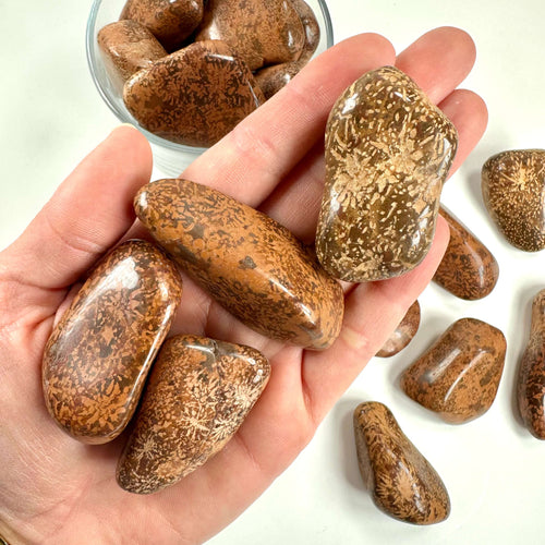 Jaspis stjerne jumbo