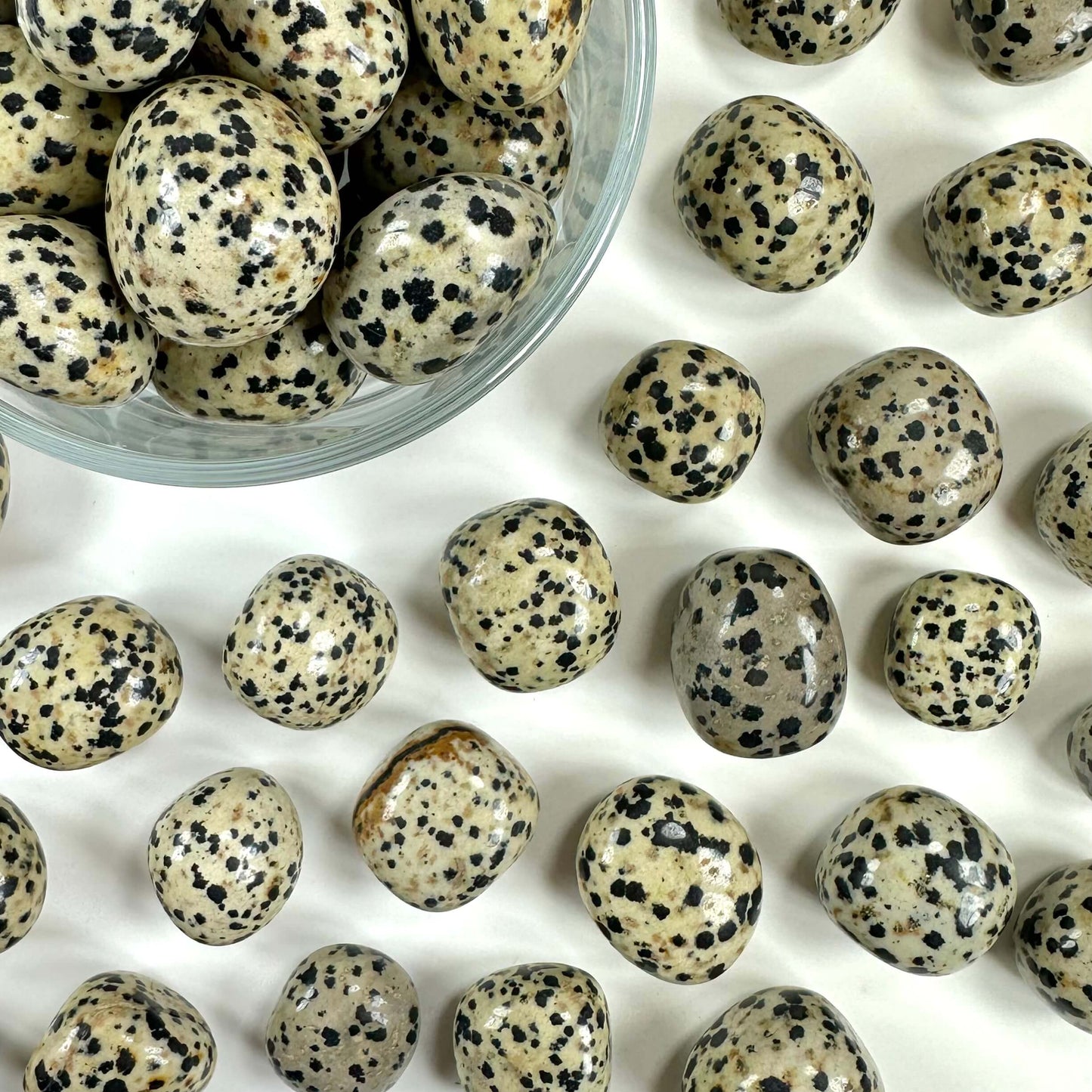 Jaspis Dalmatiner lommesten