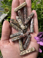 Jaspis leopard spidser