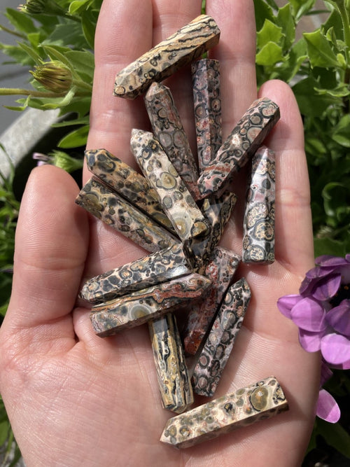 Jaspis leopard spidser