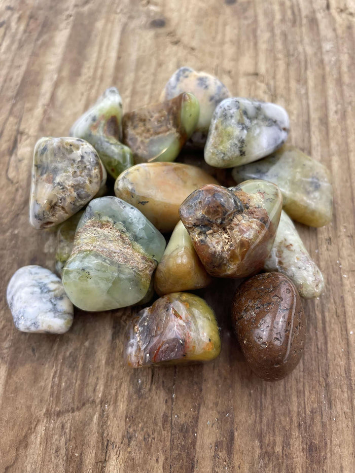 Opal Mos