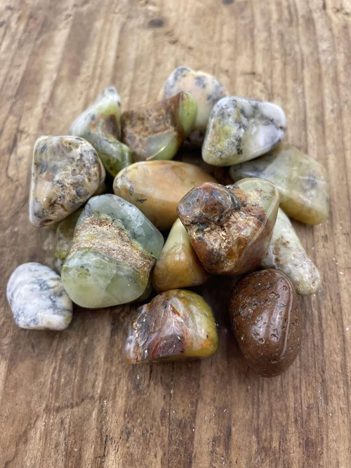 Opal Mos