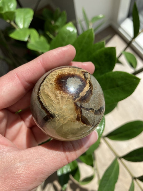 Septarie kugle nr 1