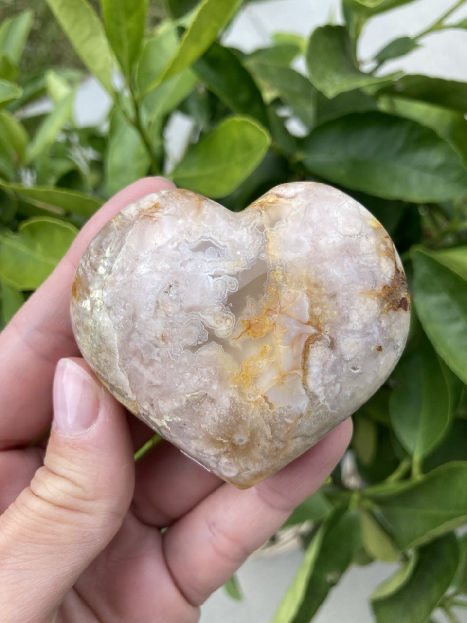 Blomster Agat hjerte