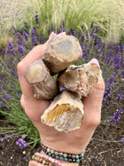 Forstenet træ grene