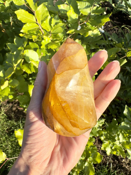 Golden Healer flamme