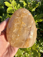 Golden Healer free form