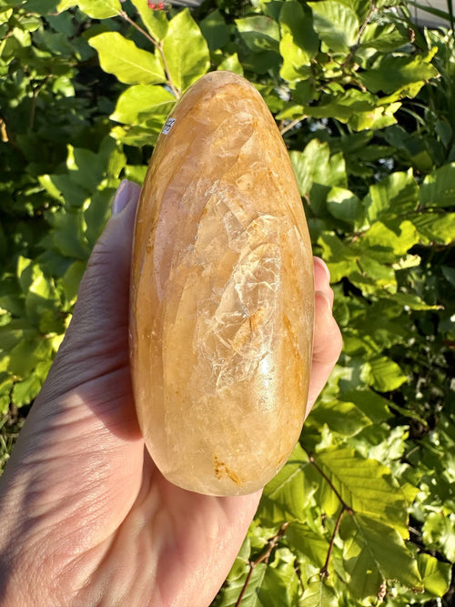 Golden Healer free form
