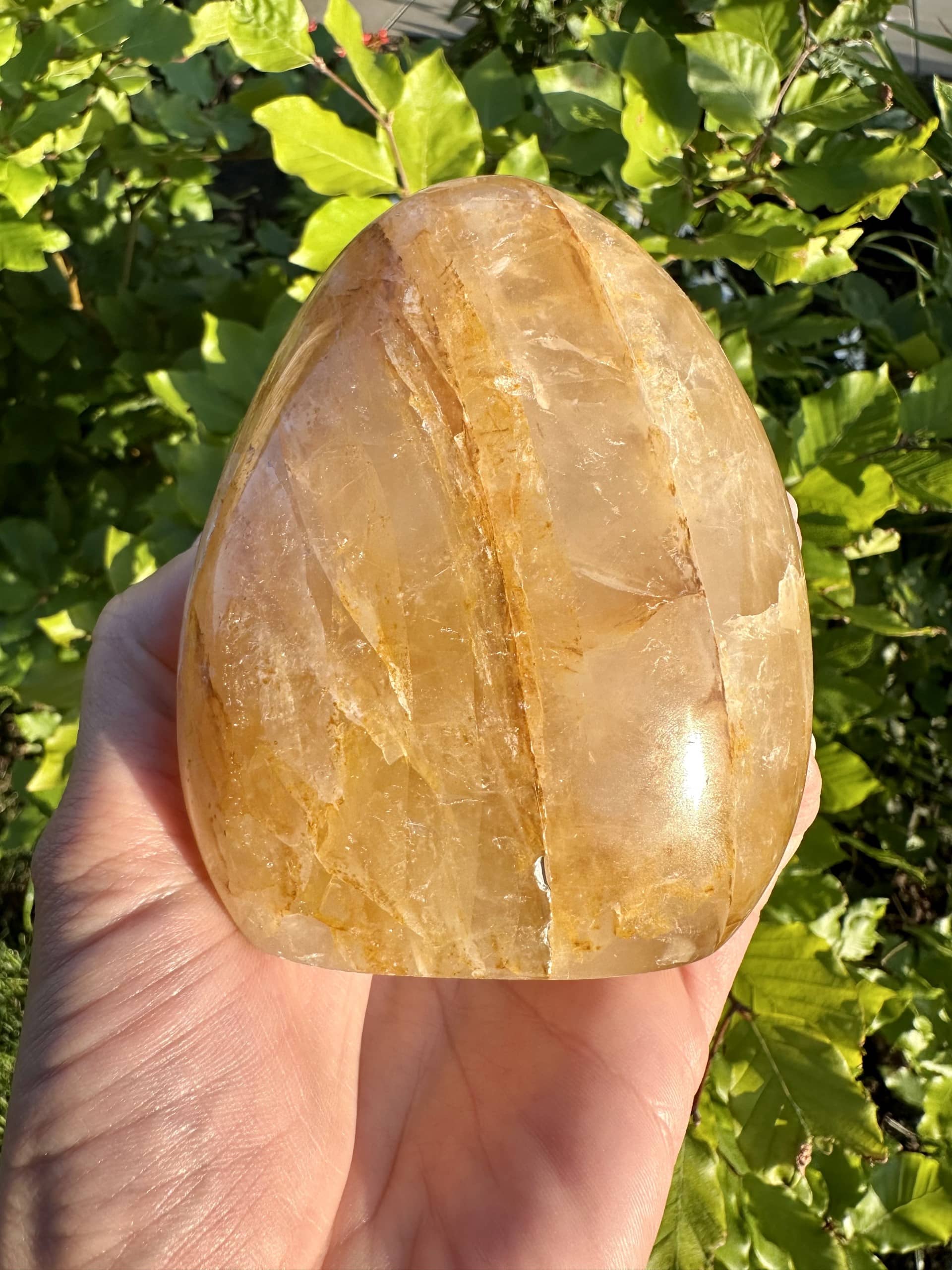 Golden Healer free form