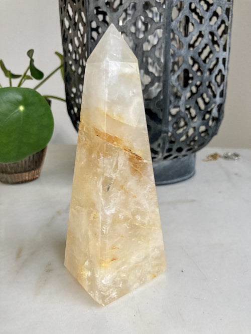Stor Golden Healer spids