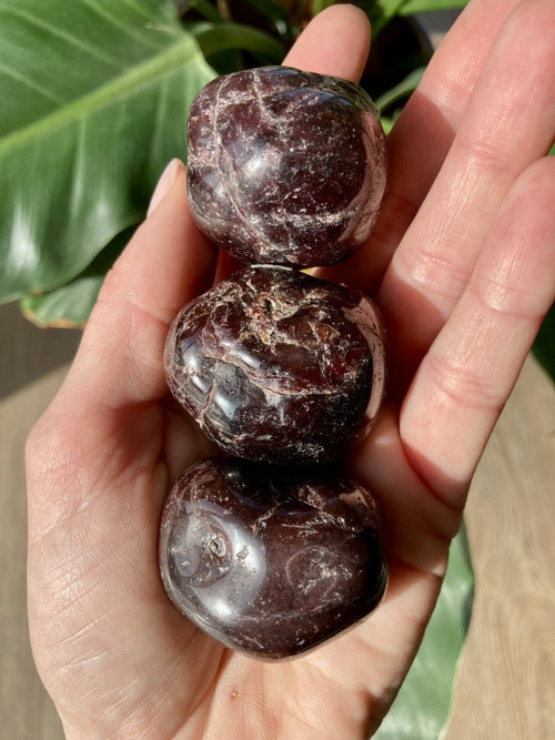 Granat Jumbo