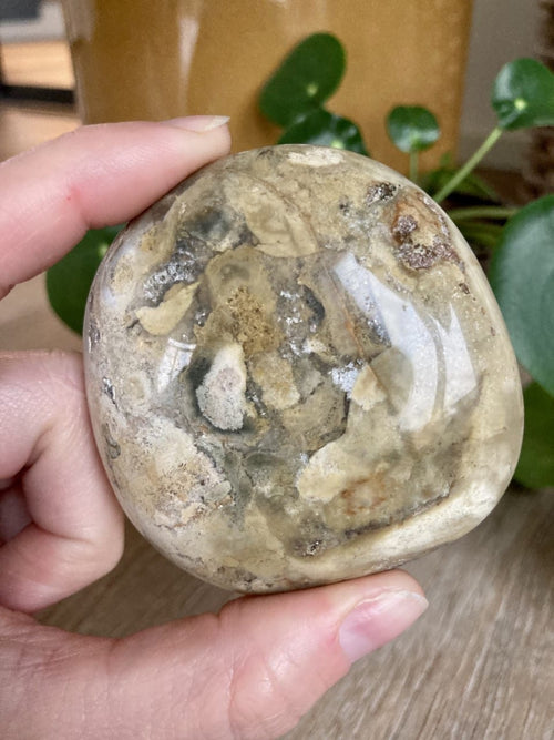 Jaspis Hav palmstone