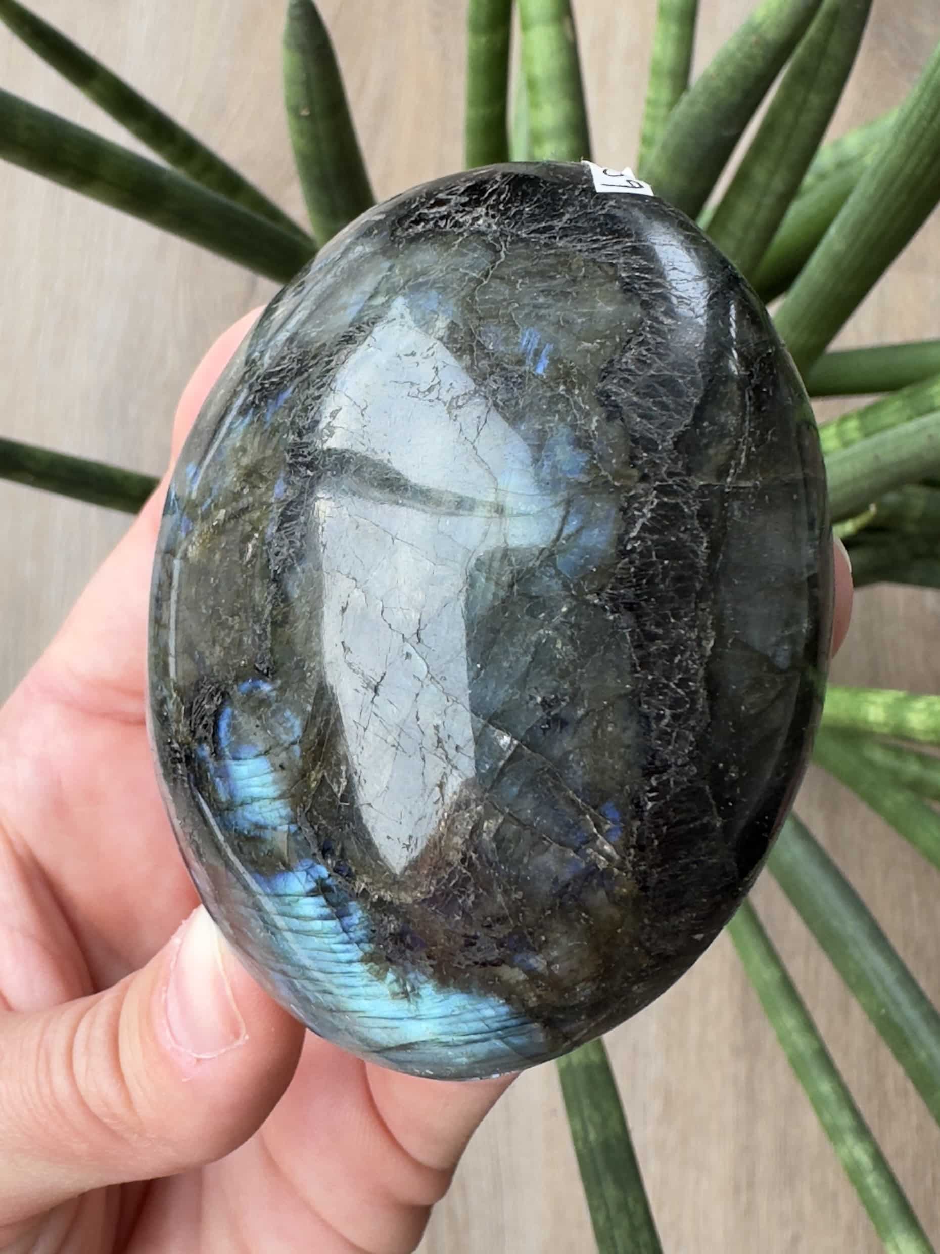 Labradorit palmstone