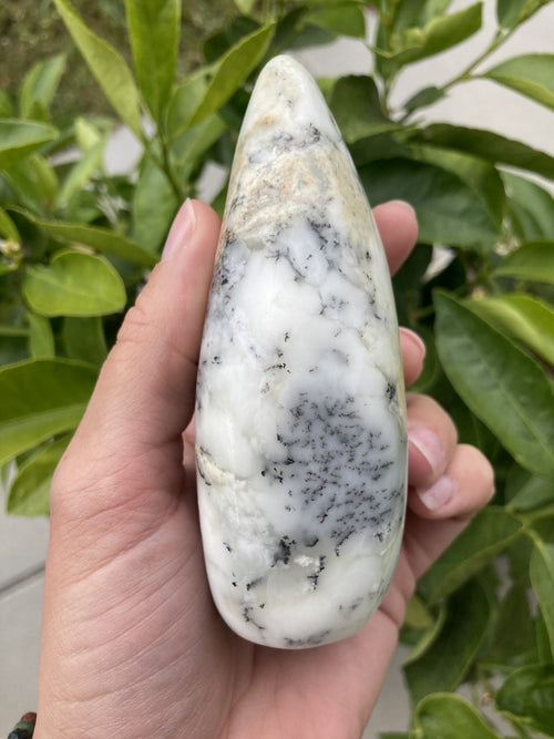 Opal Dendrit free form