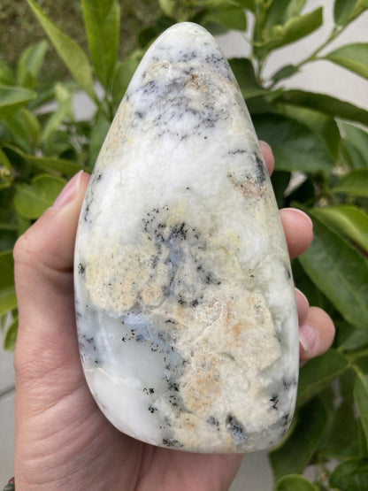 Hånd, der holder en Opal Dendrit i fri form med grønne blade i baggrunden.