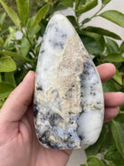 Opal Dendrit free form