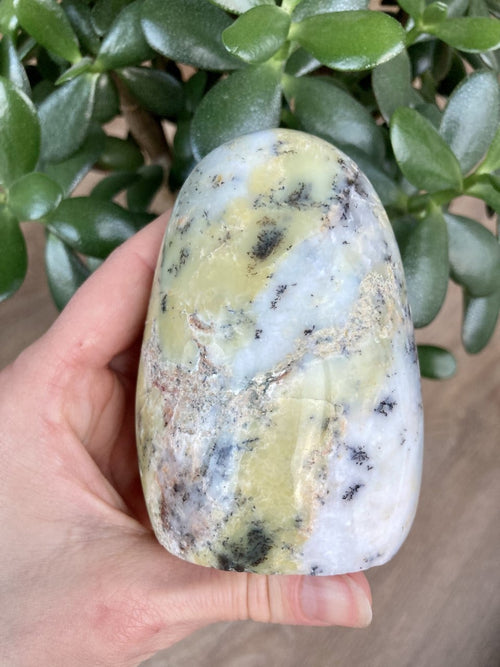 Opal Dendrit free form