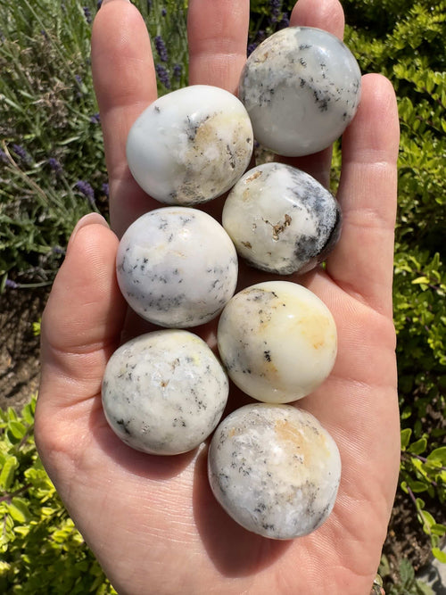 Opal Dendrit