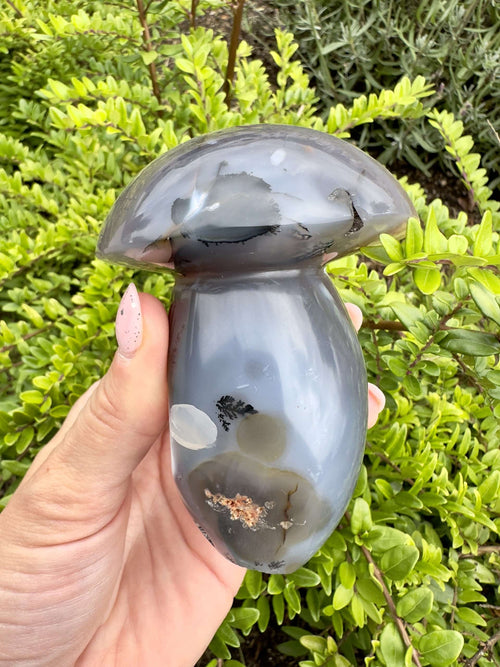 Orca Agat paddehat