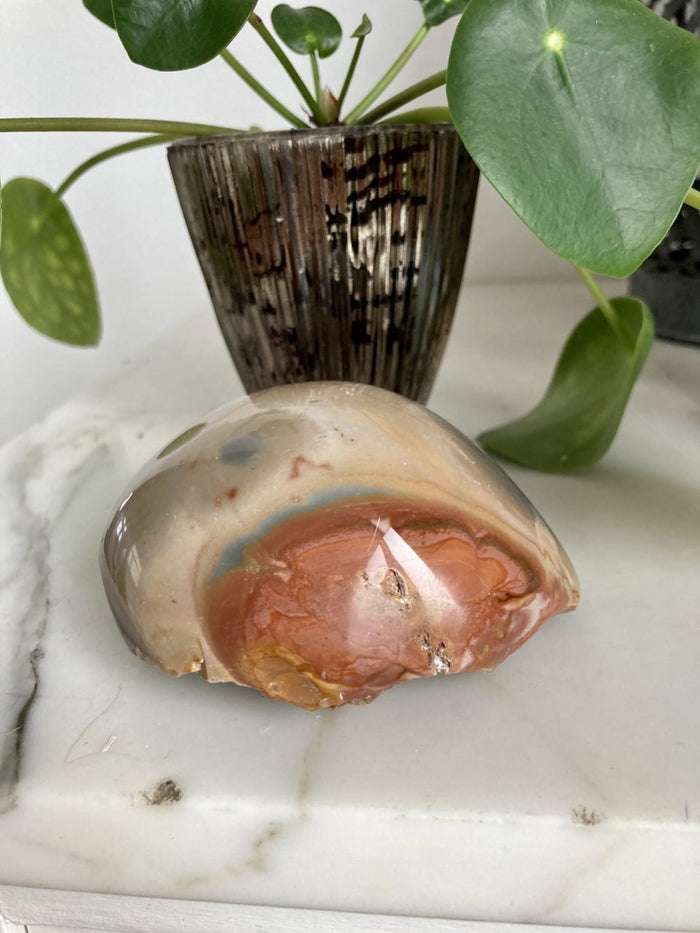 Jaspis Polychrome