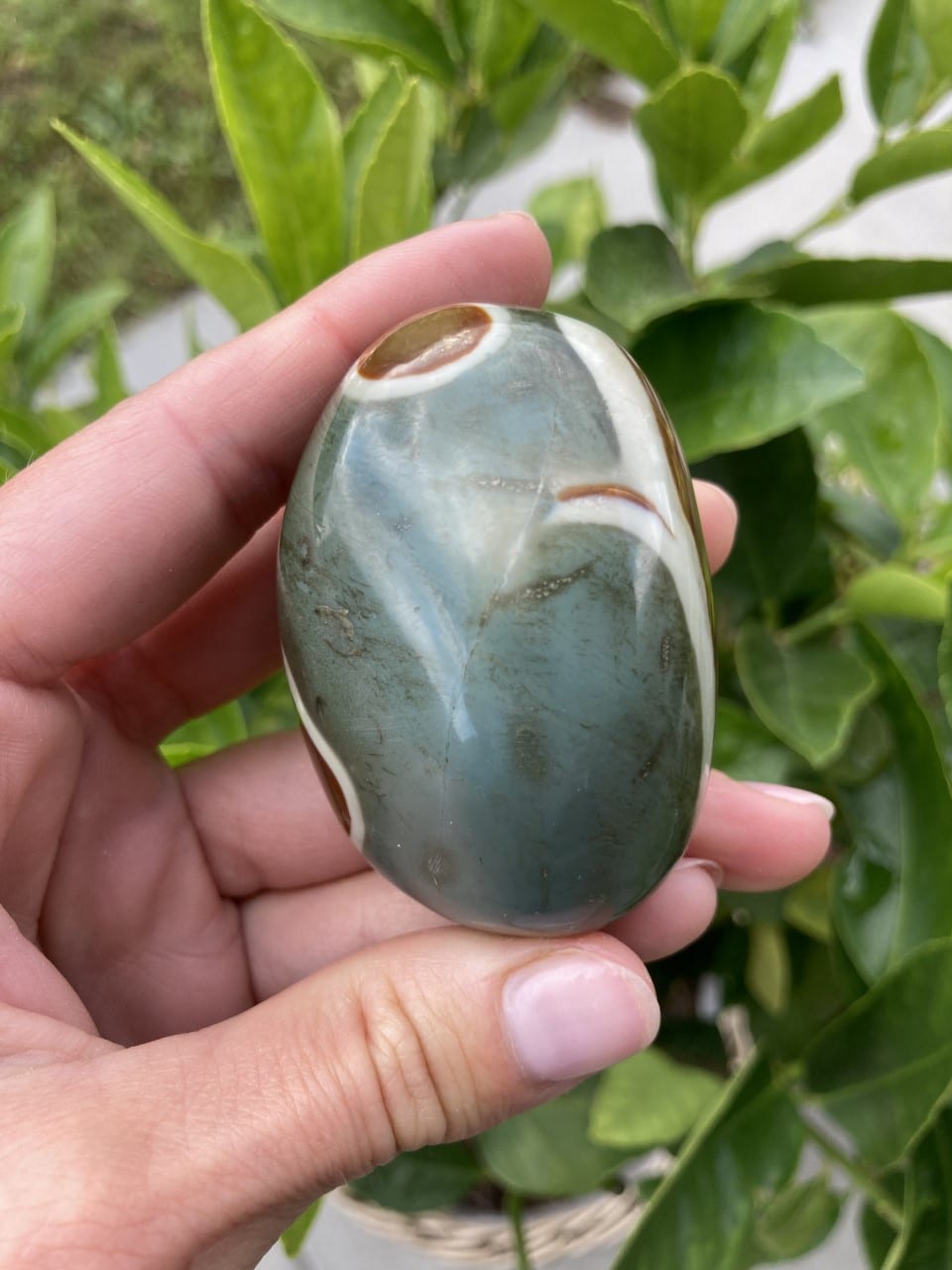Jaspis Polychrome