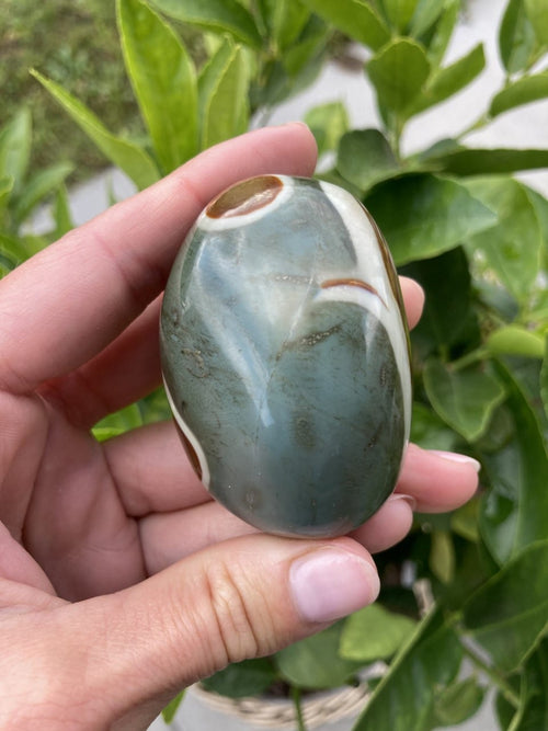 Jaspis Polychrome