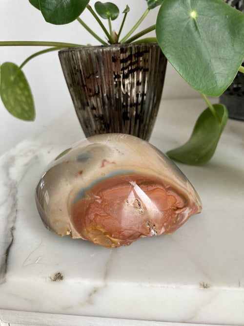 Jaspis Polychrome