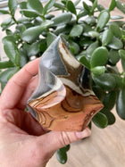 Jaspis Polychrome flamme