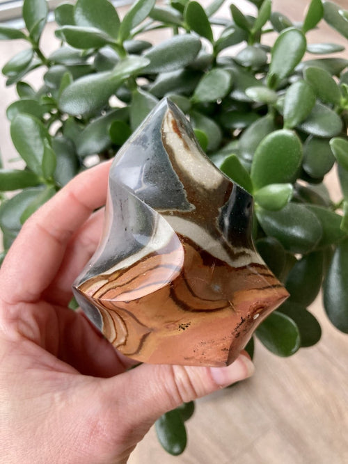 Jaspis Polychrome flamme