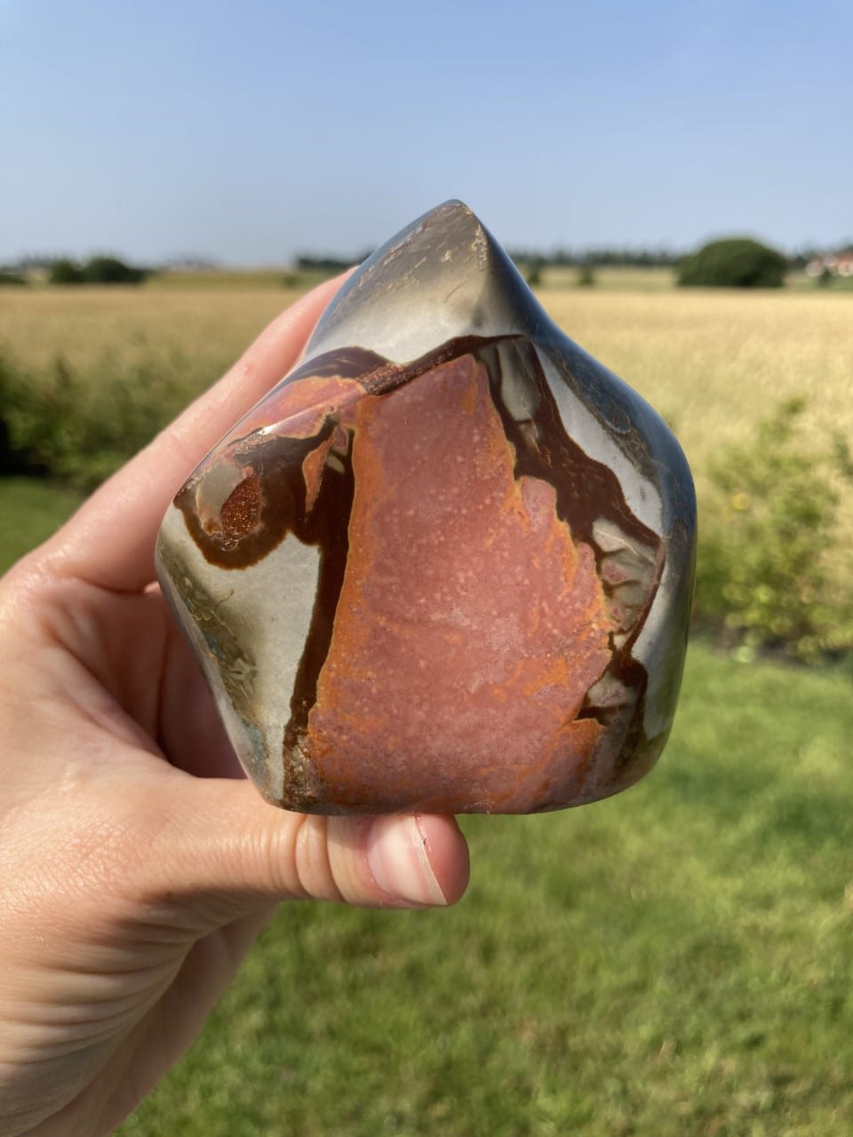 Hånd, der holder en Jaspis Polychrome flamme i sollys, med markant farvespil, i en frodig havebaggrund.