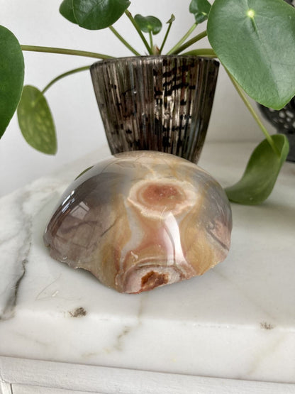 Glansfuld Jaspis Polychrome placeret på en marmorbord nær en grøn plante i potte.