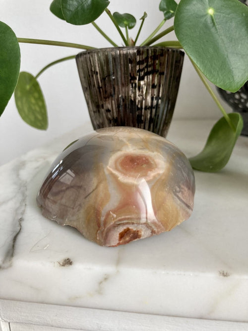 Jaspis Polychrome