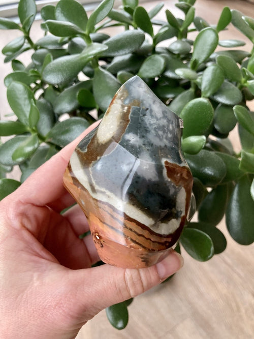Jaspis Polychrome flamme