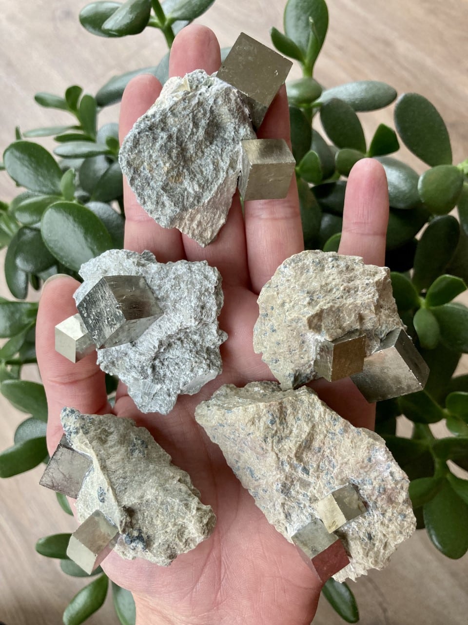 2 Pyrit kubes på modersten