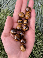 Tigerøje mini kugler